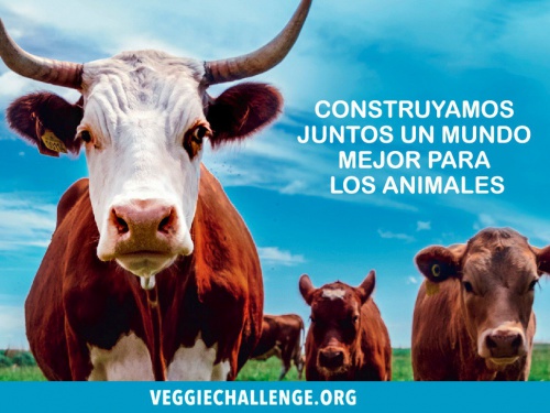 #VeggieChallenge: el desafío que encantó a los famosos